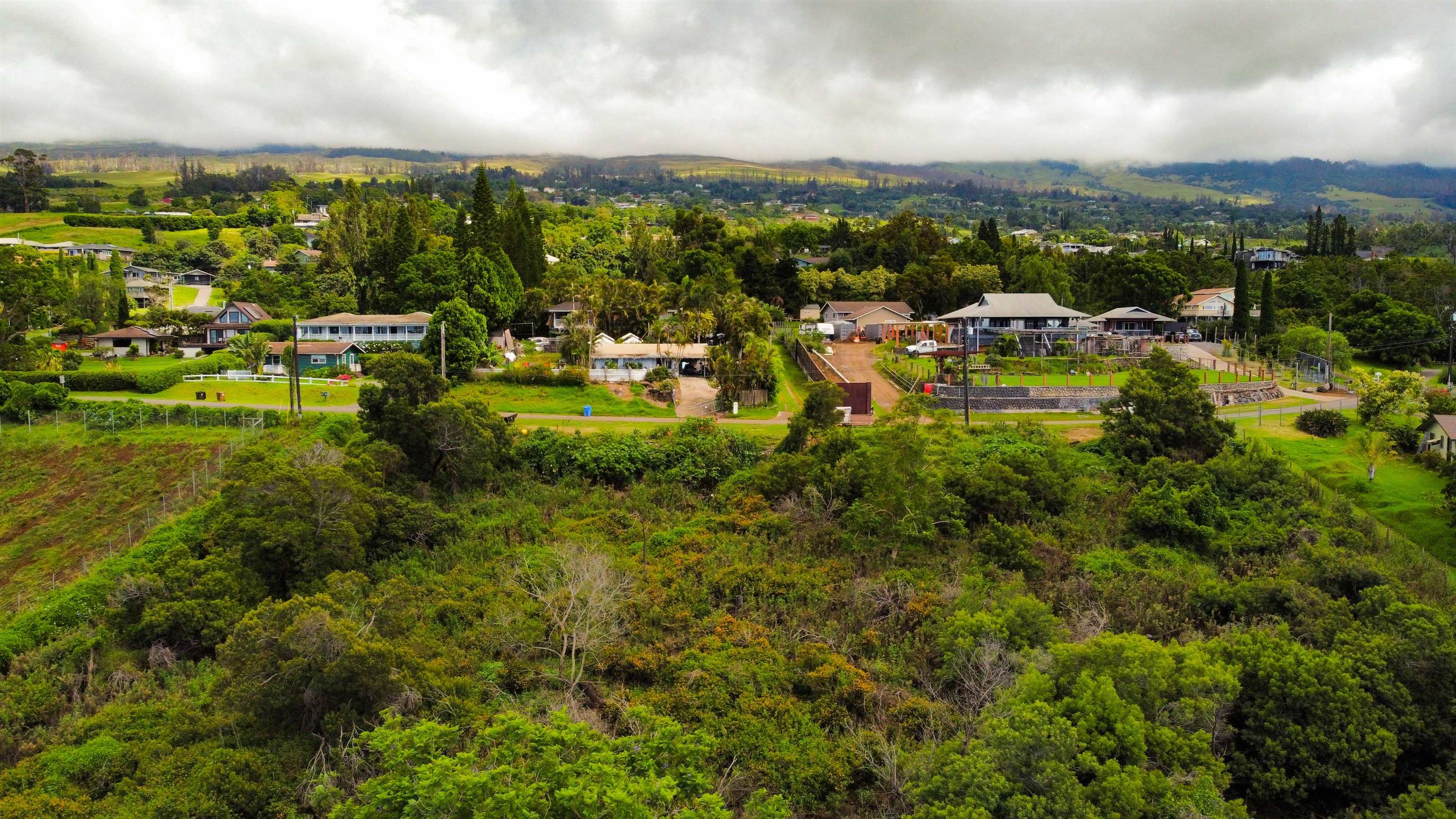 Malanani Dr