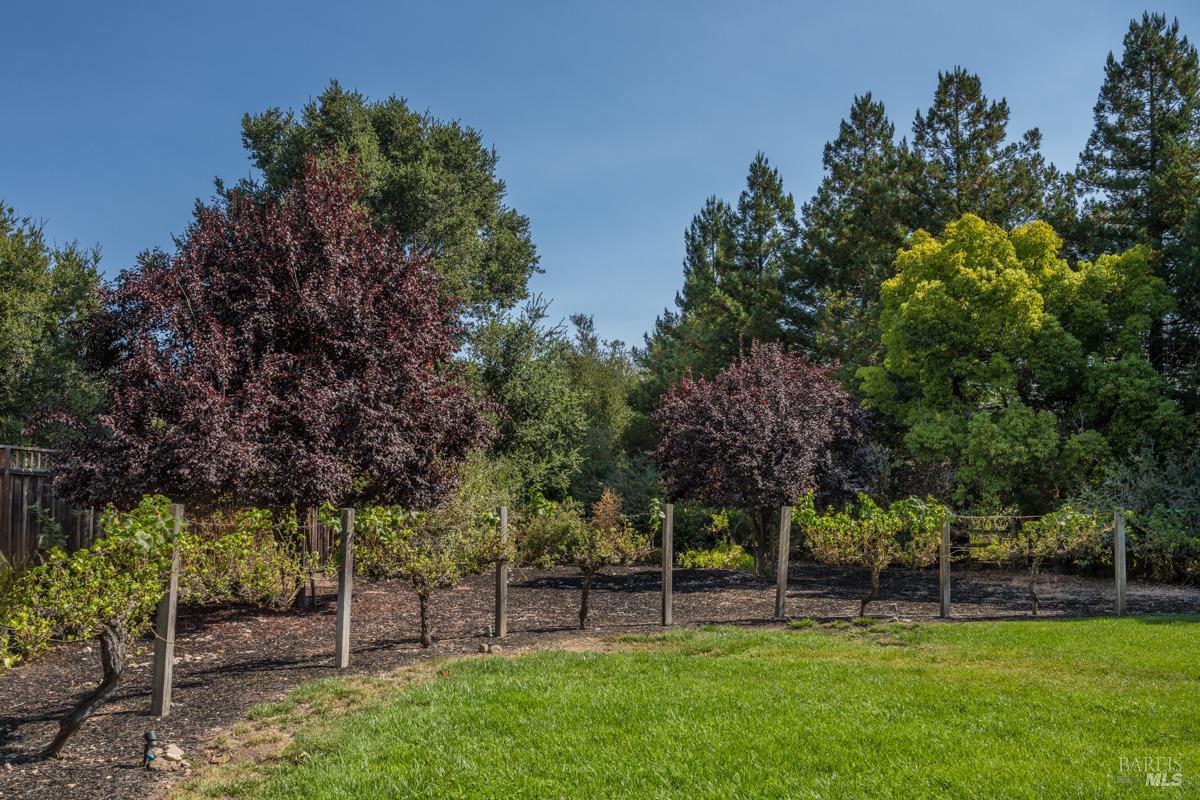 1250 Lovall Valley Rd