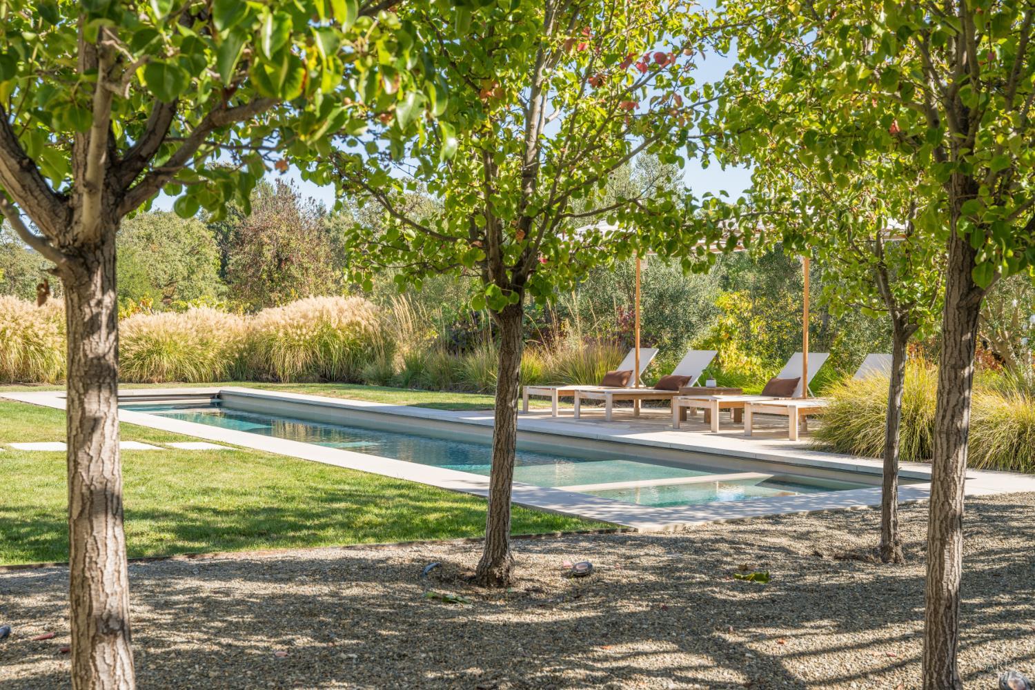 Swimming pool framed by mature trees, with cushioned loungers on the landscaped deck.