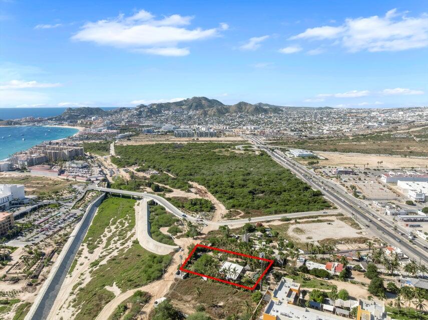 Oasis Verde