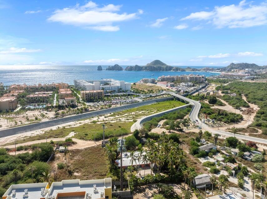 Oasis Verde
