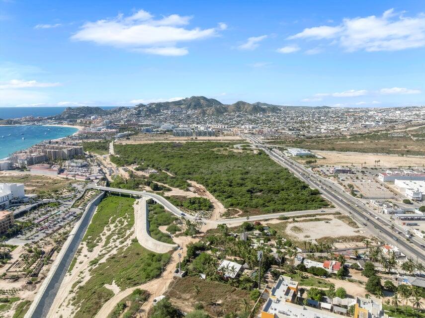 Oasis Verde