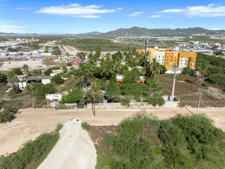 Oasis Verde