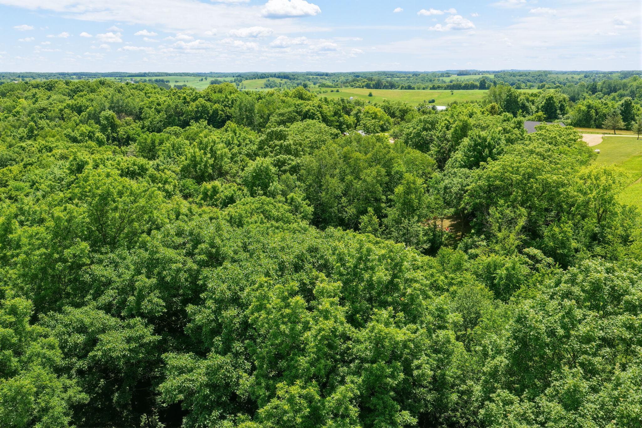 140 Hill Crest Court