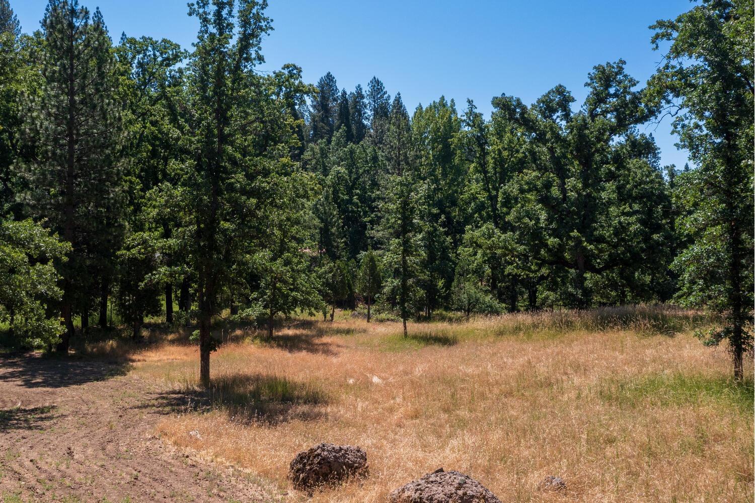 27269 Forrest Oak Road