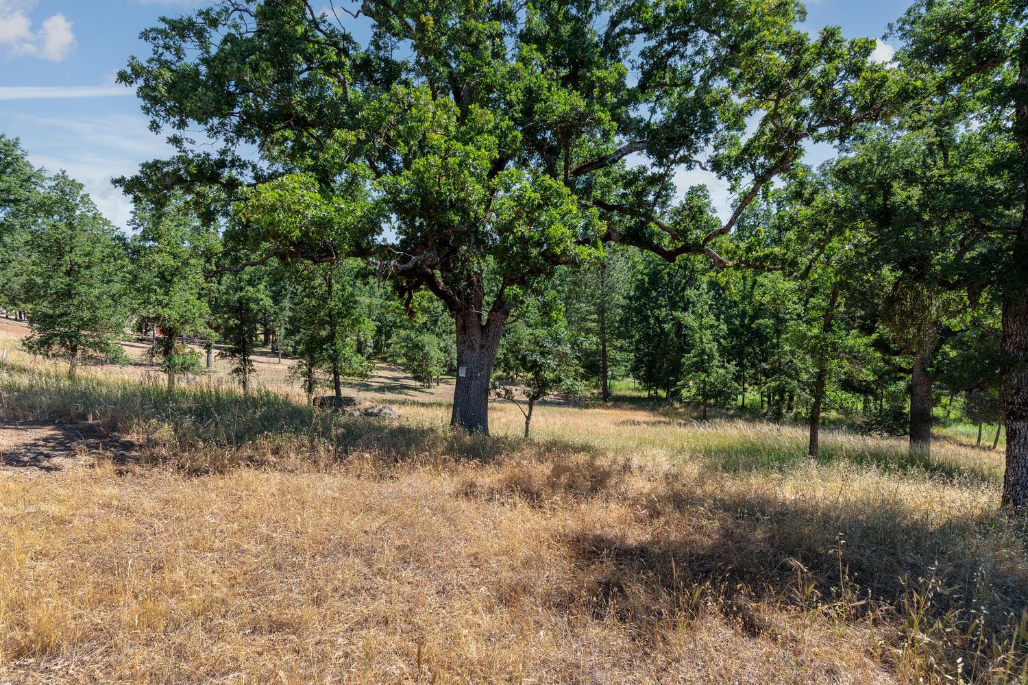 27269 Forrest Oak Road