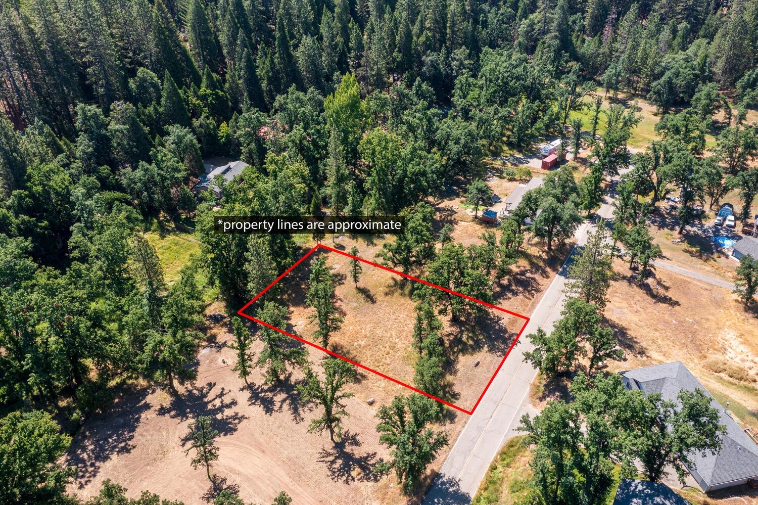 27269 Forrest Oak Road