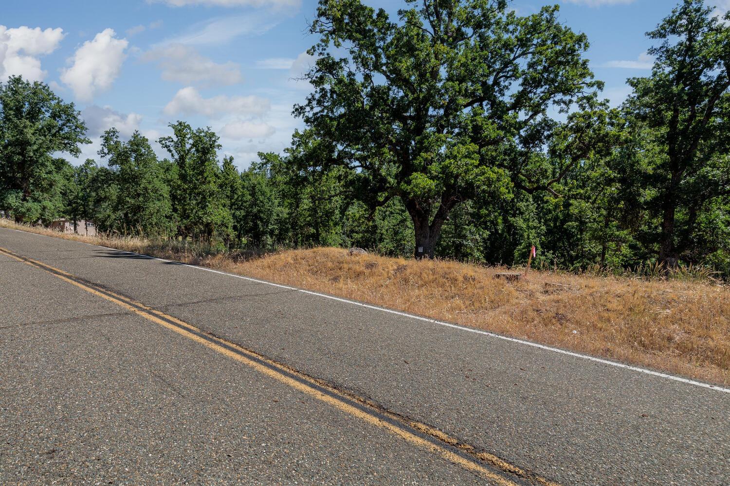 27269 Forrest Oak Road