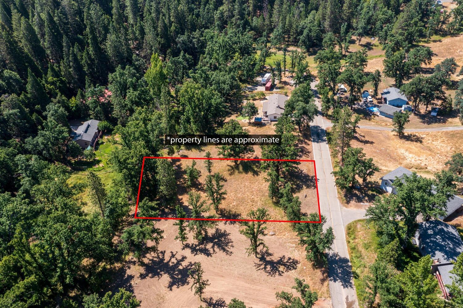 27269 Forrest Oak Road