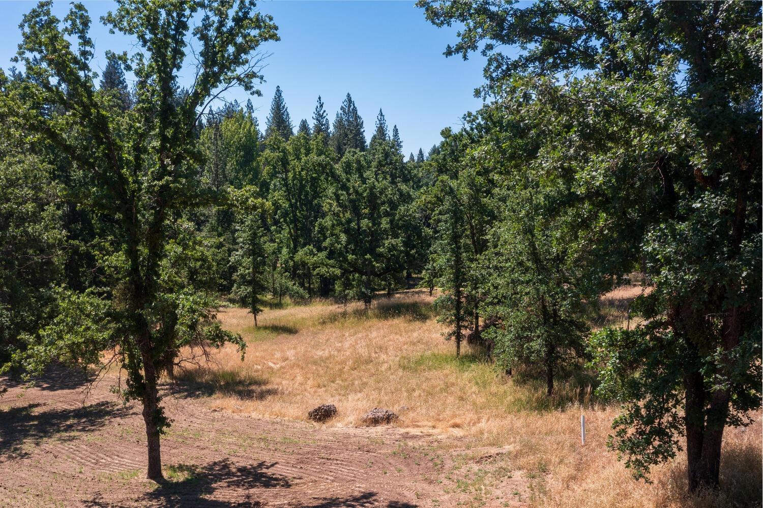 27269 Forrest Oak Road