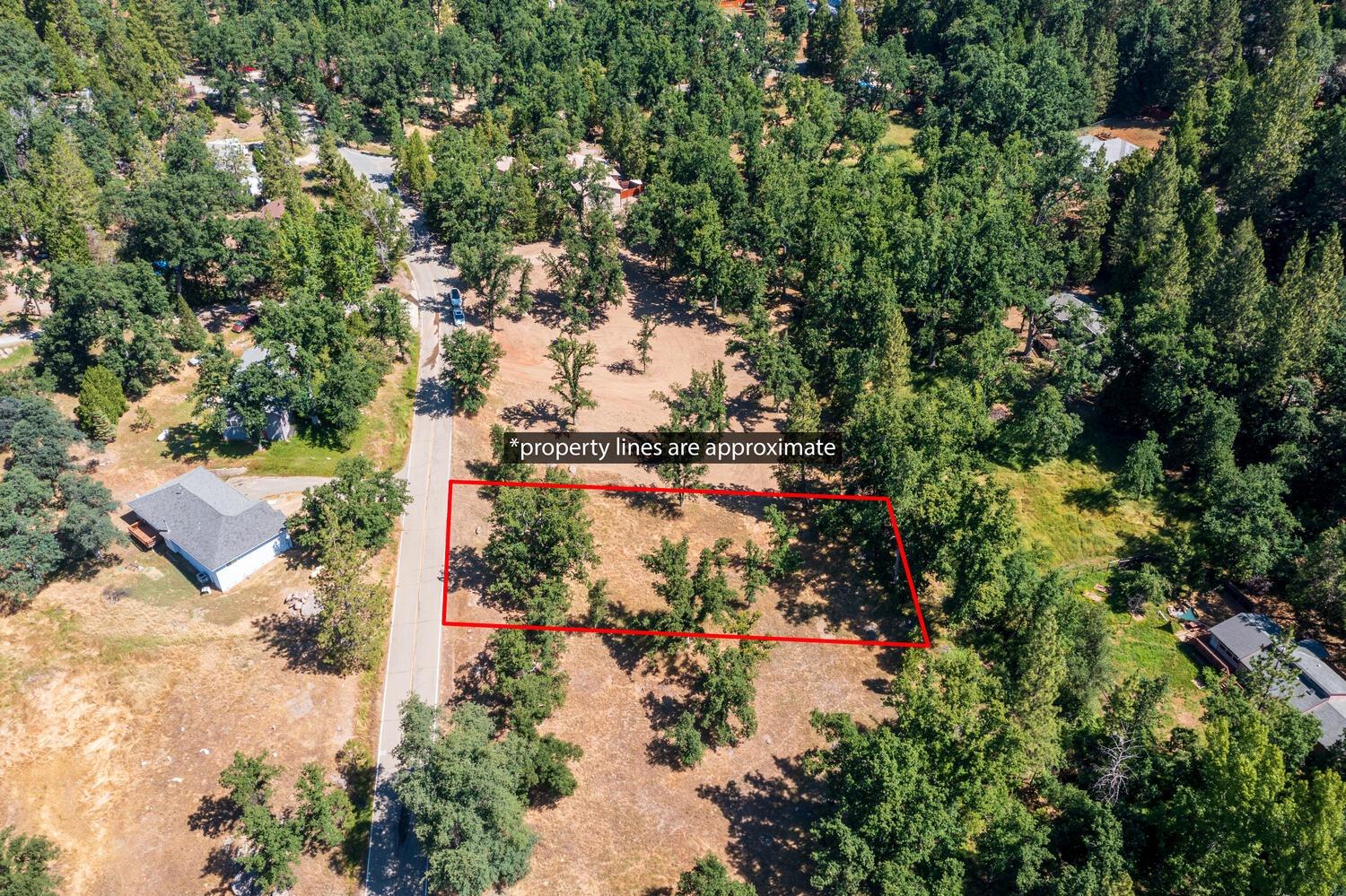 27269 Forrest Oak Road