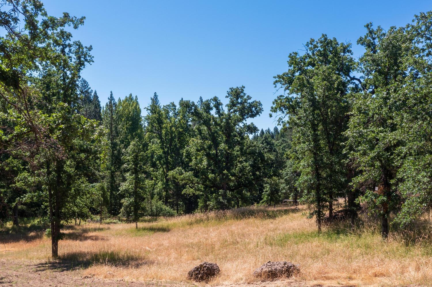 27269 Forrest Oak Road