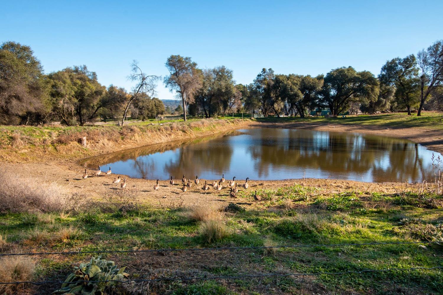 2500 Sand Ridge Road