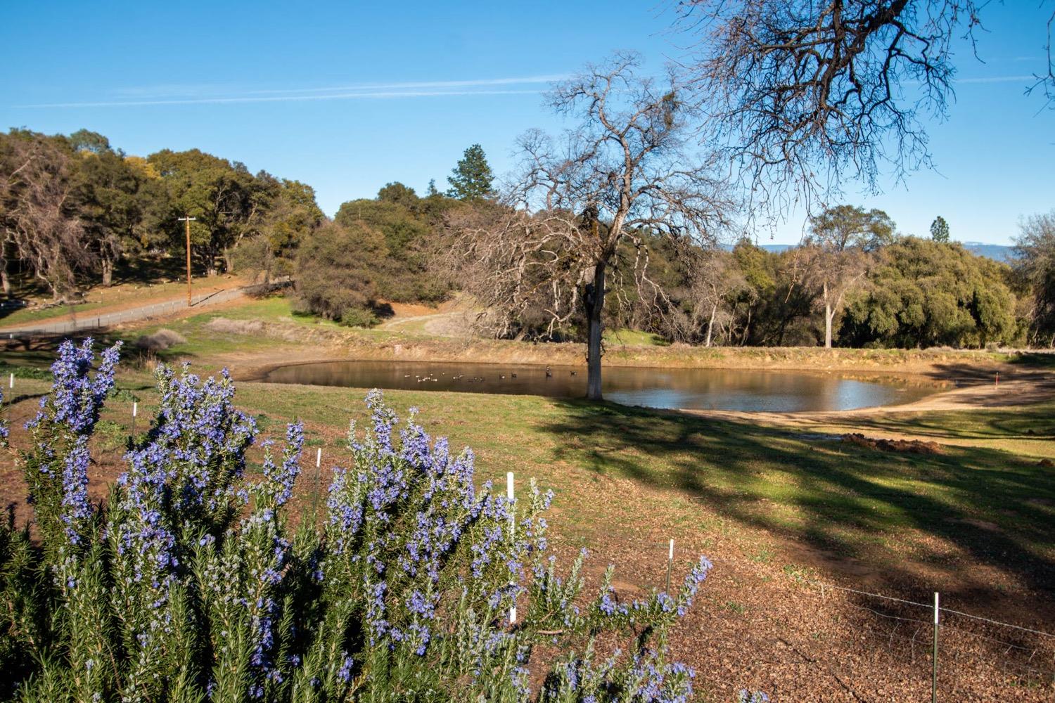 2500 Sand Ridge Road