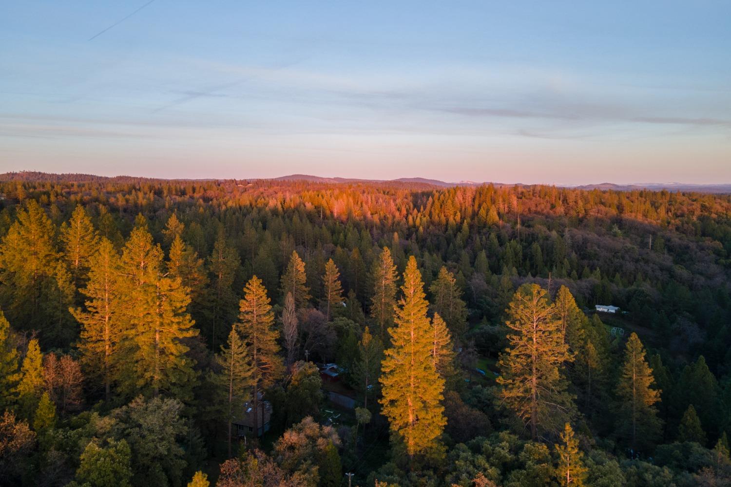 3220 Graybar Mine Road