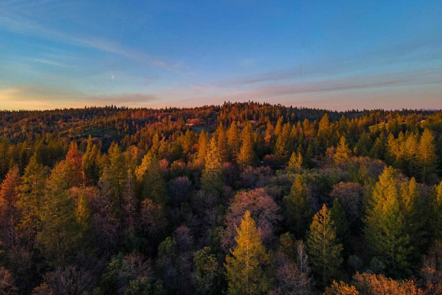 3220 Graybar Mine Road