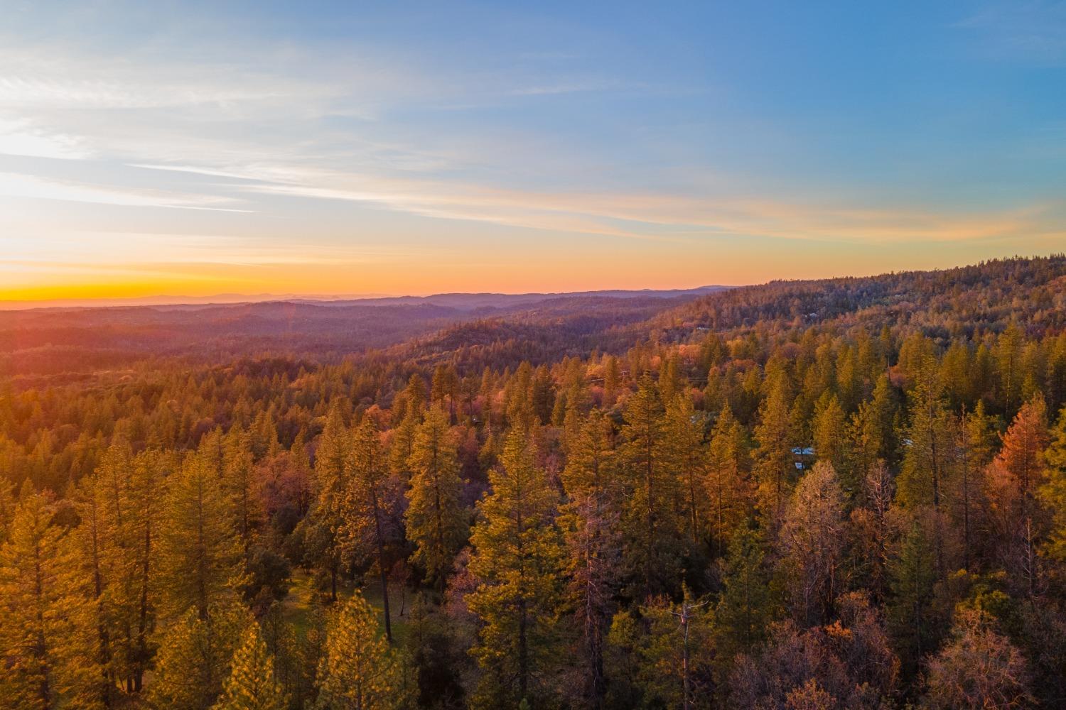 3220 Graybar Mine Road