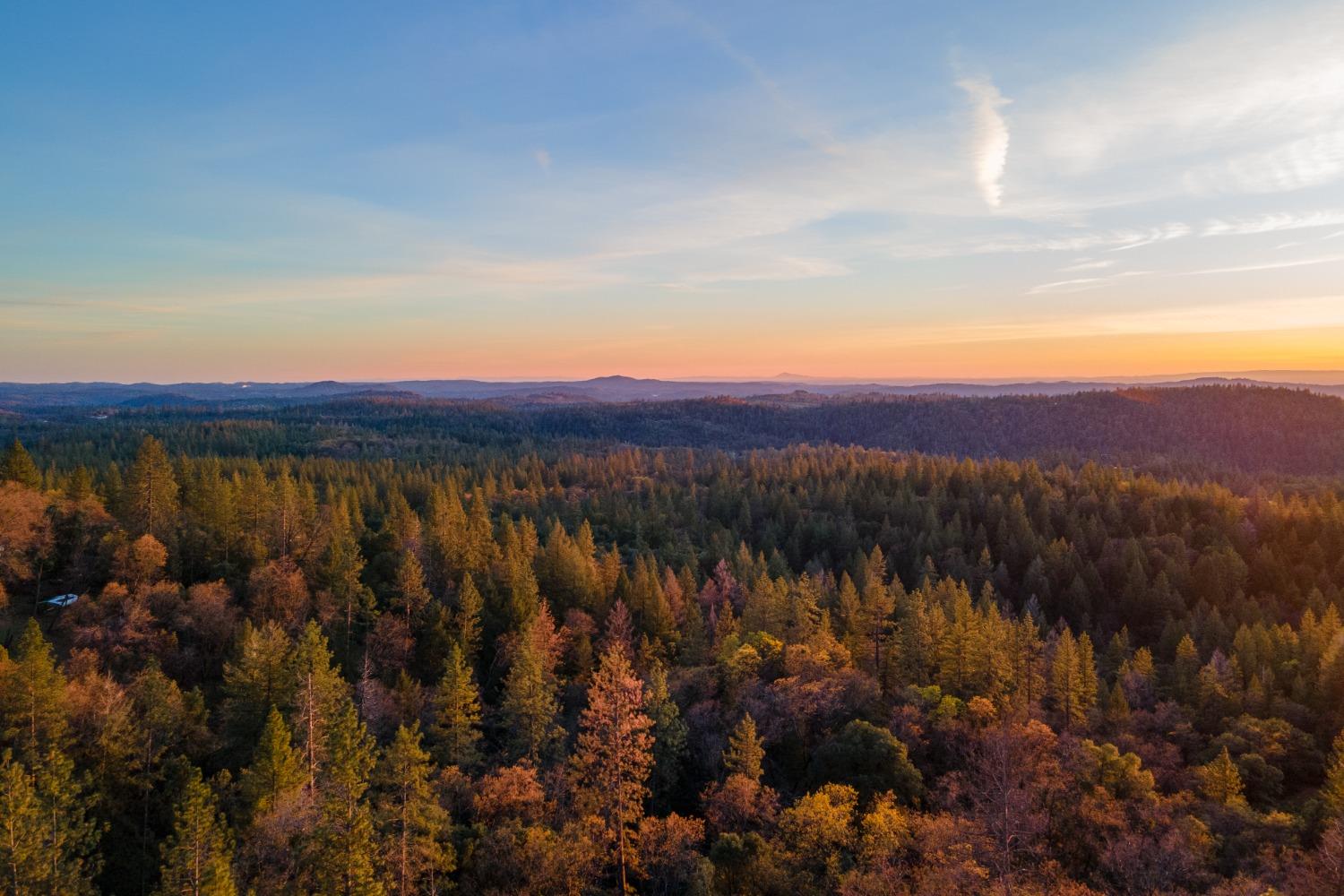 3220 Graybar Mine Road