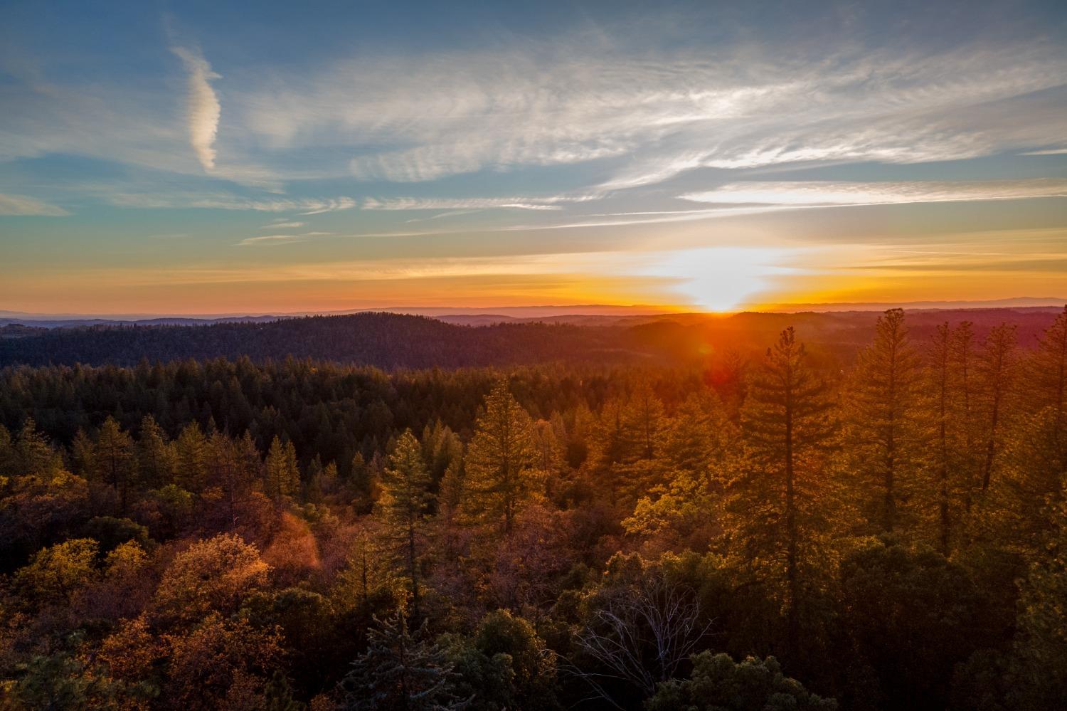 3220 Graybar Mine Road