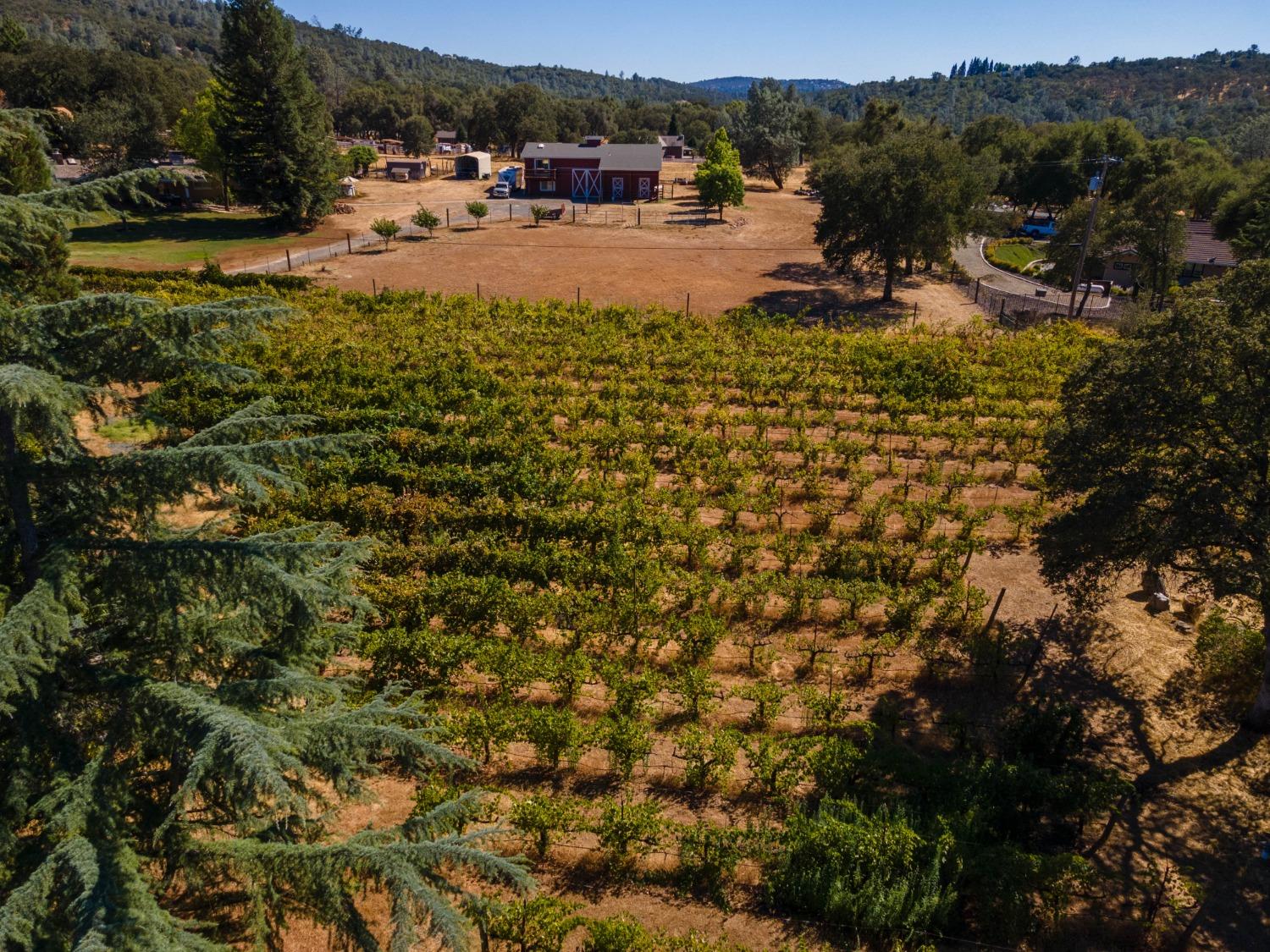 1000 Aqua Haven Court