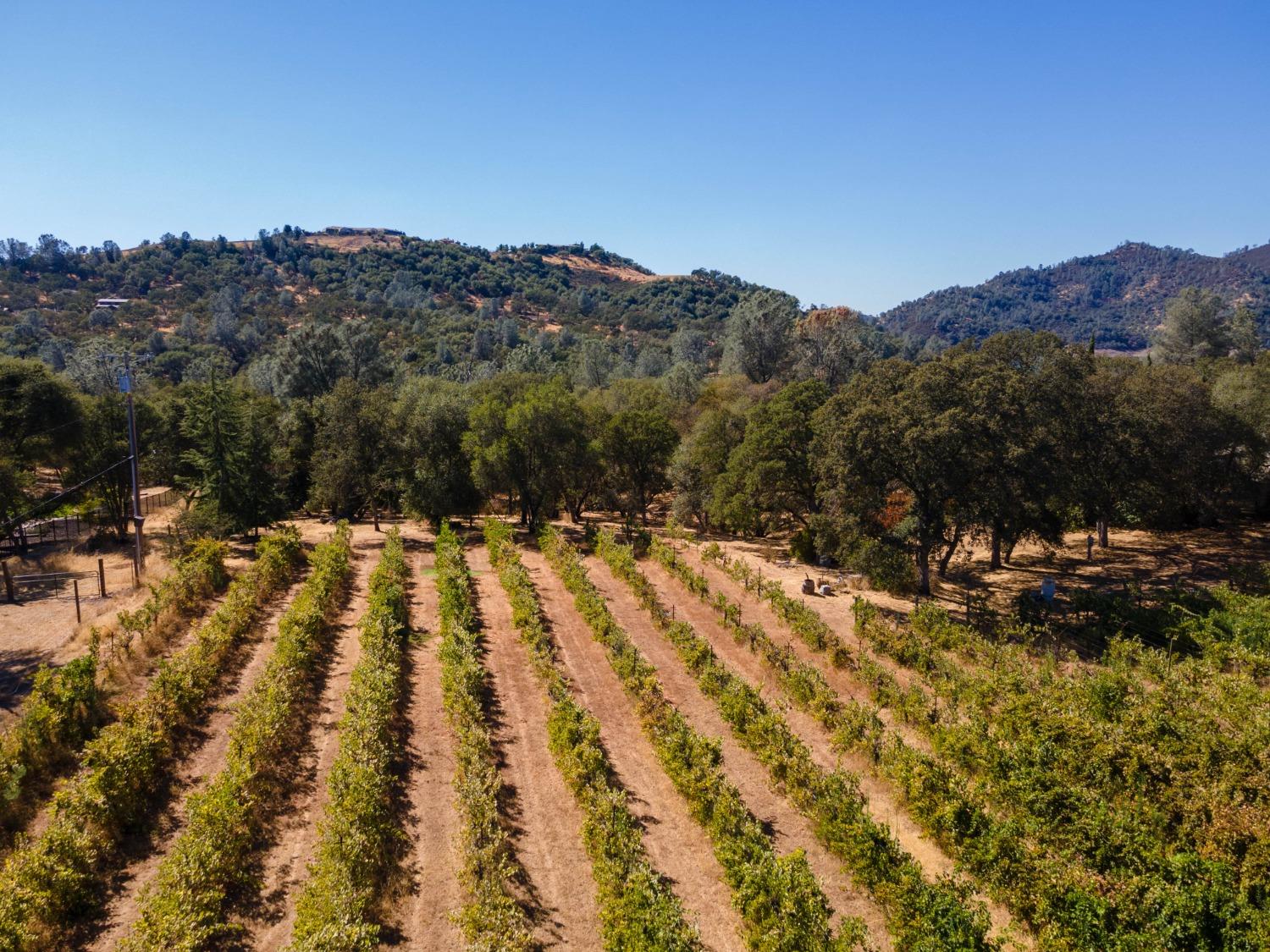 1000 Aqua Haven Court