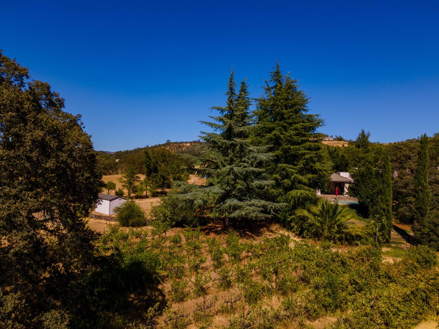 1000 Aqua Haven Court