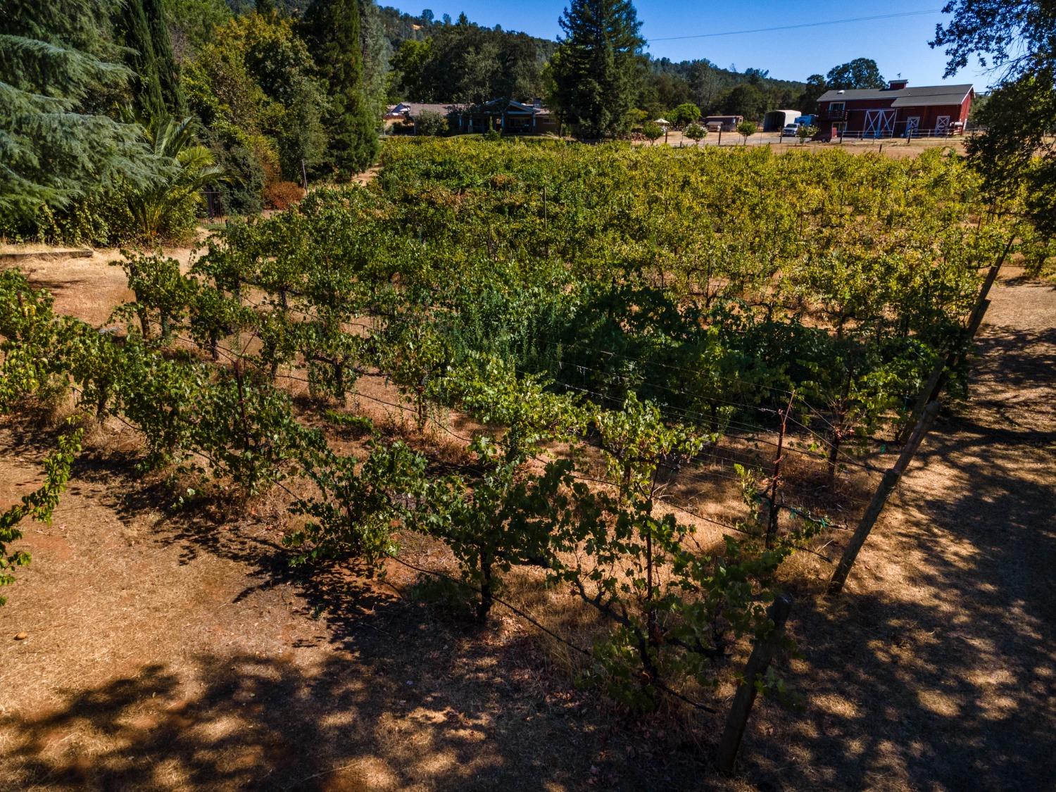 1000 Aqua Haven Court