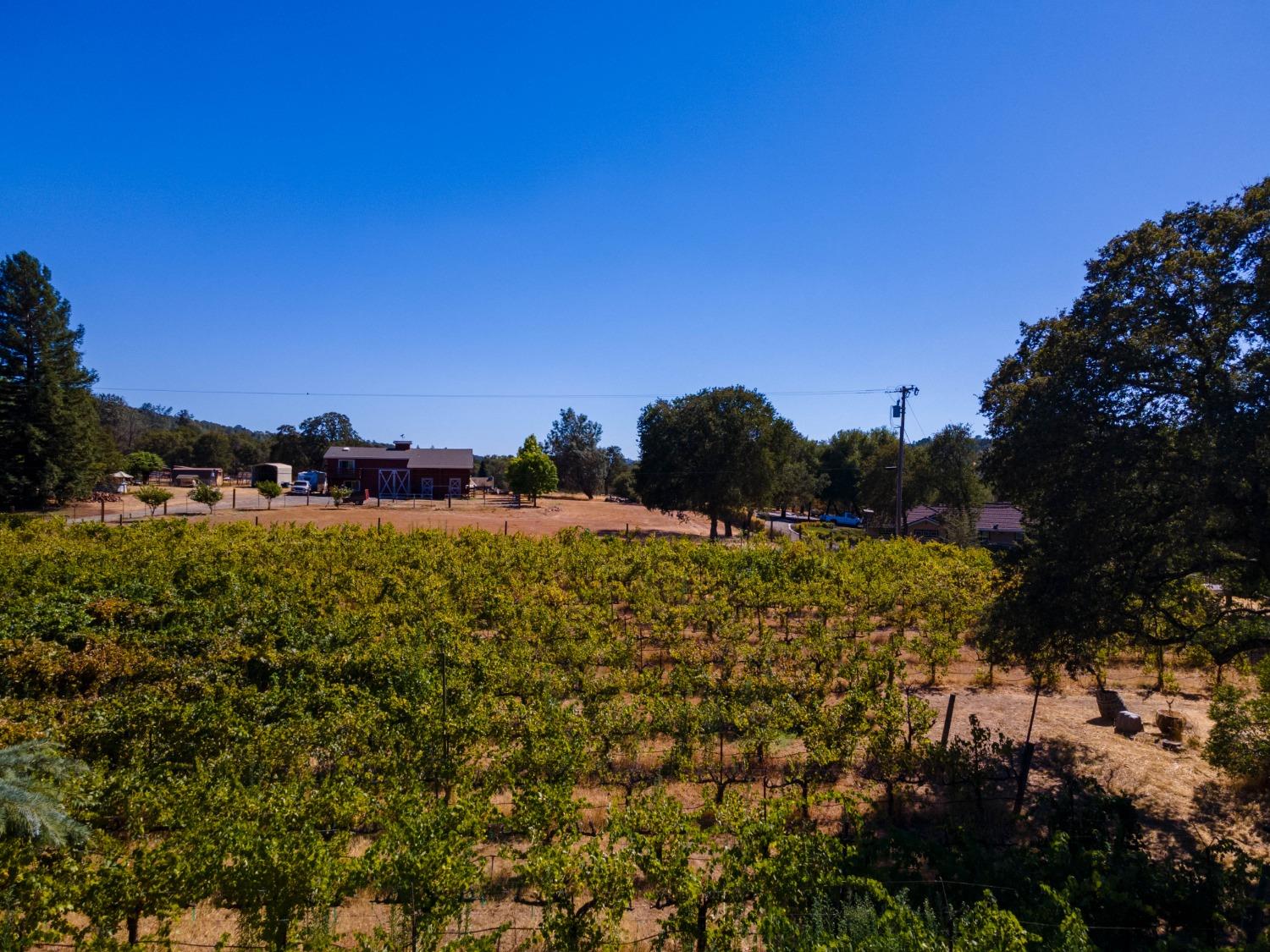 1000 Aqua Haven Court