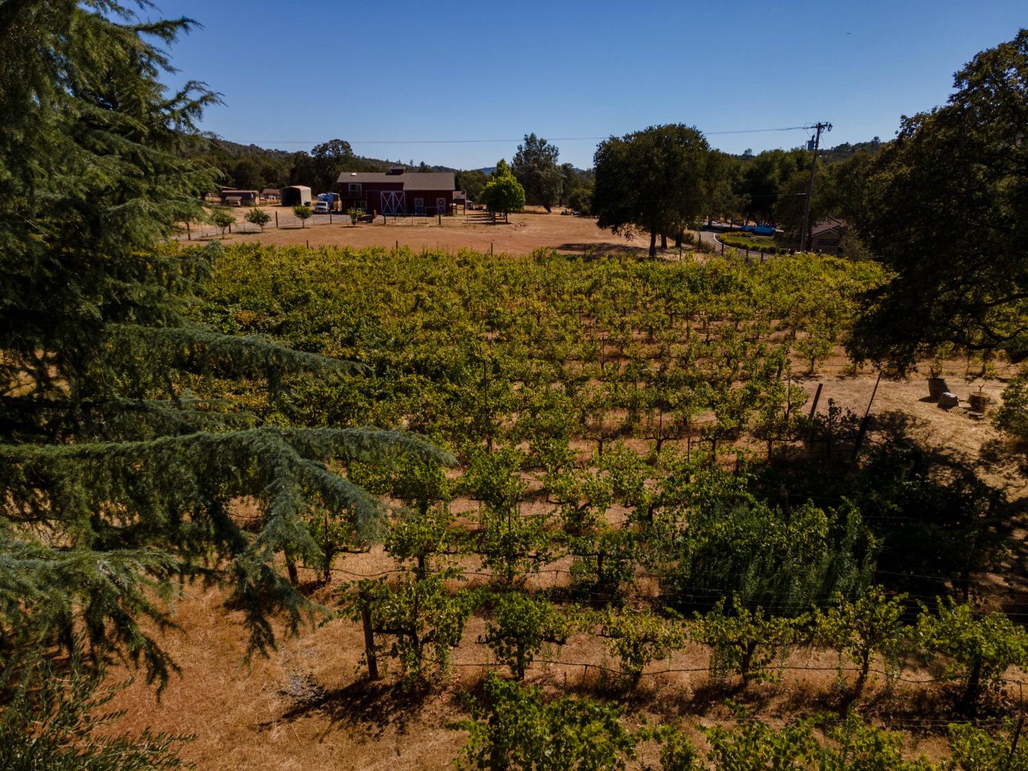 1000 Aqua Haven Court