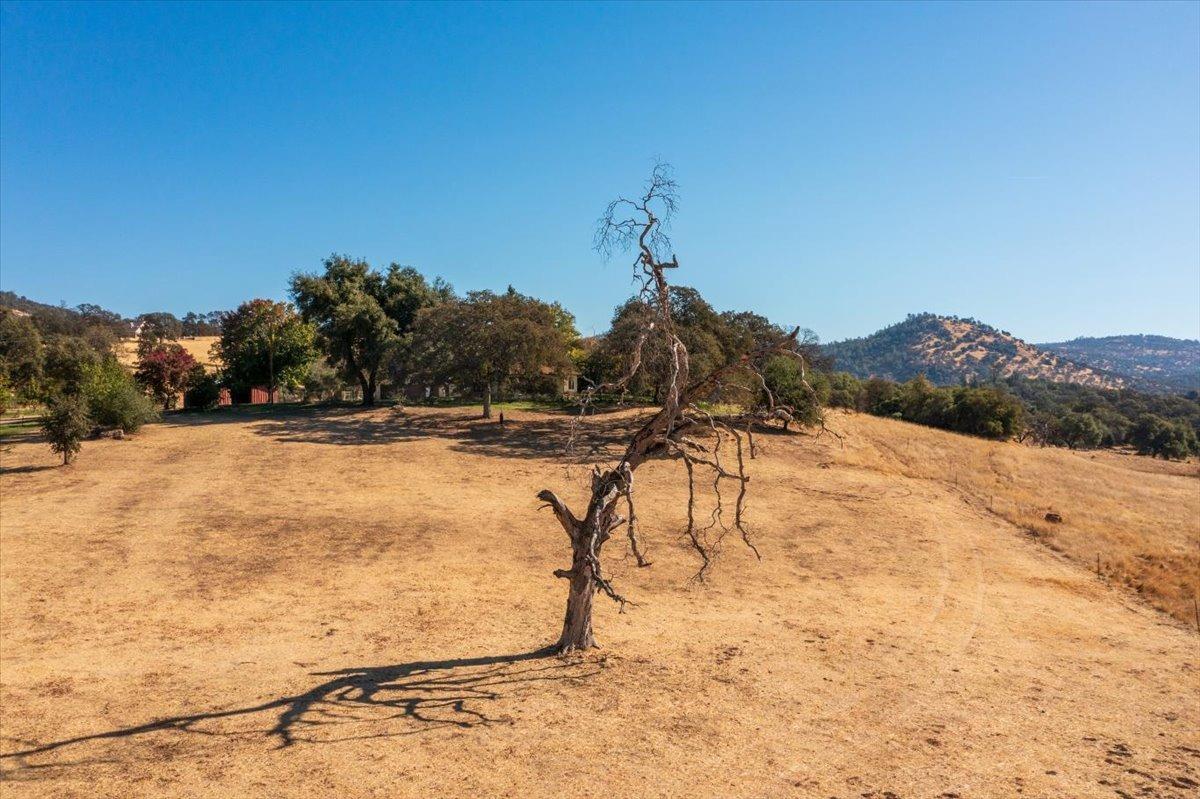 313 Los Verjeles Road