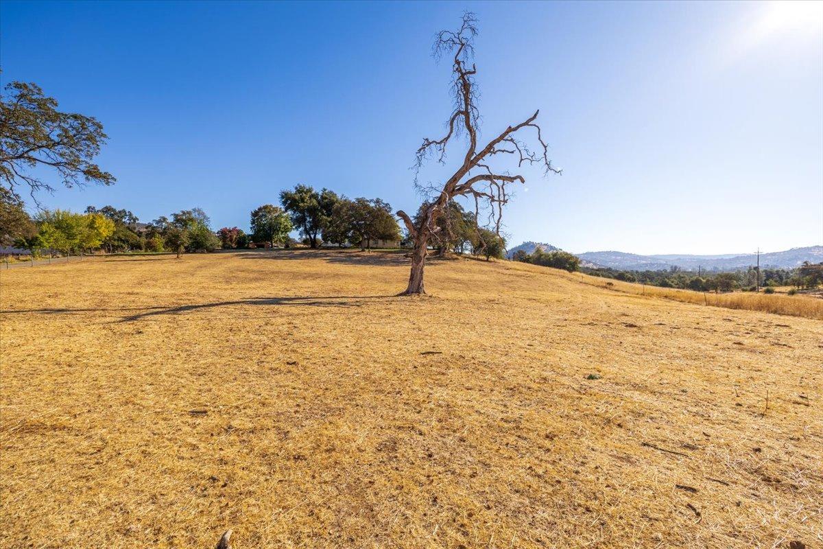 313 Los Verjeles Road