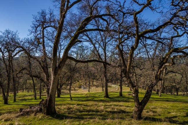 6520 Garden Park Drive