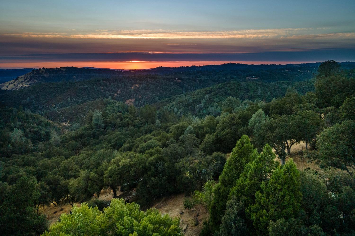 6520 Garden Park Drive