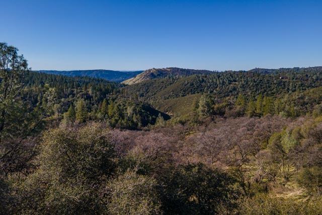 6520 Garden Park Drive