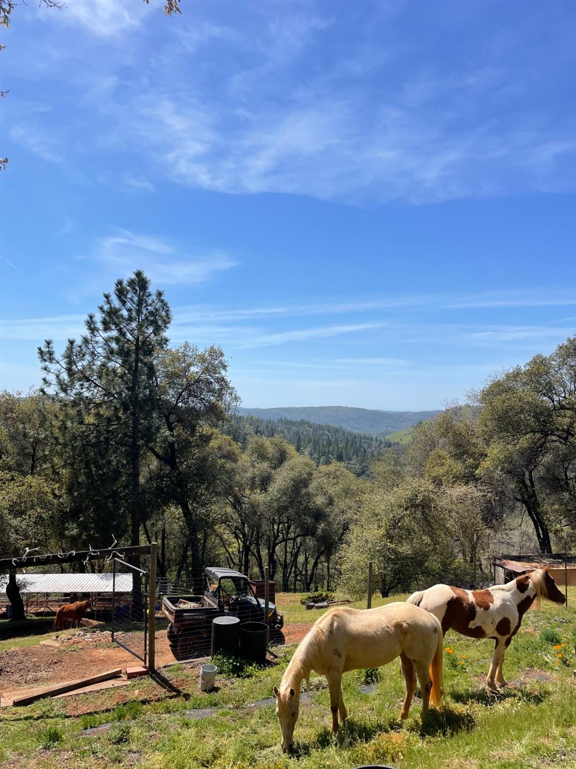 6520 Garden Park Drive