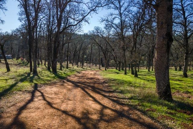 6520 Garden Park Drive