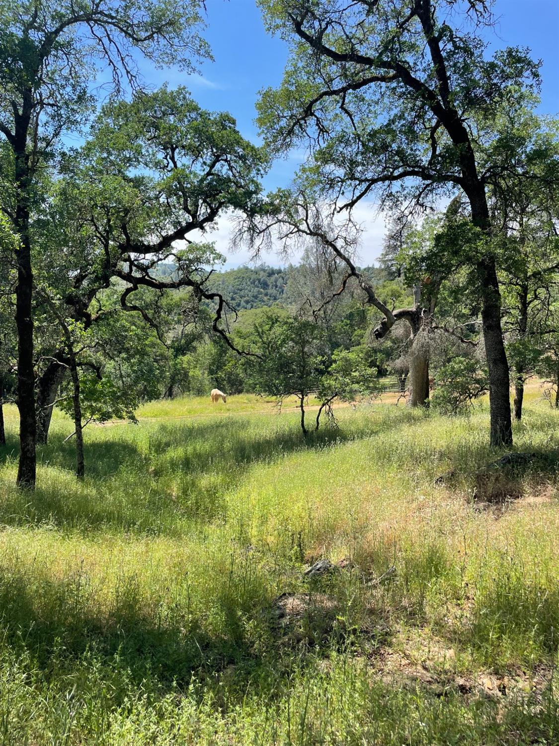 6520 Garden Park Drive