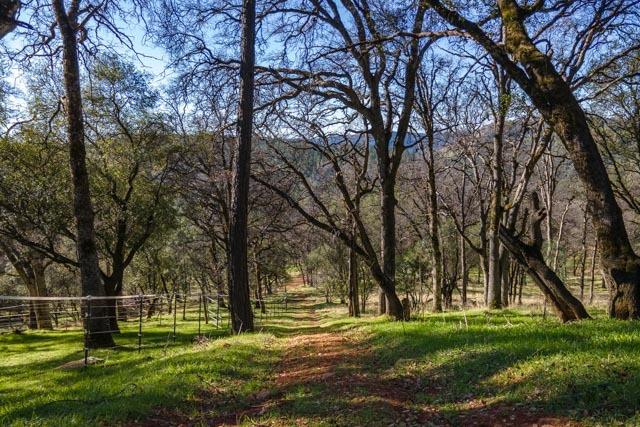 6520 Garden Park Drive