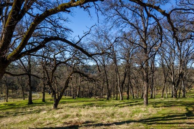 6520 Garden Park Drive