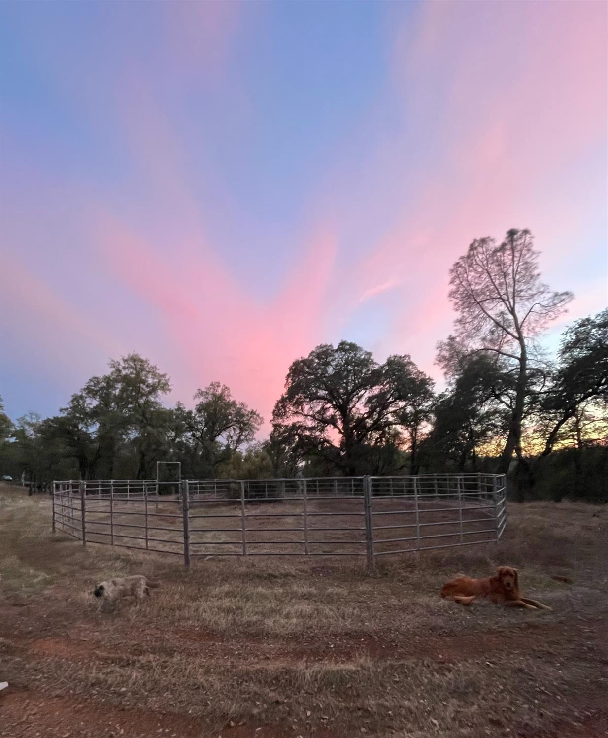 6520 Garden Park Drive