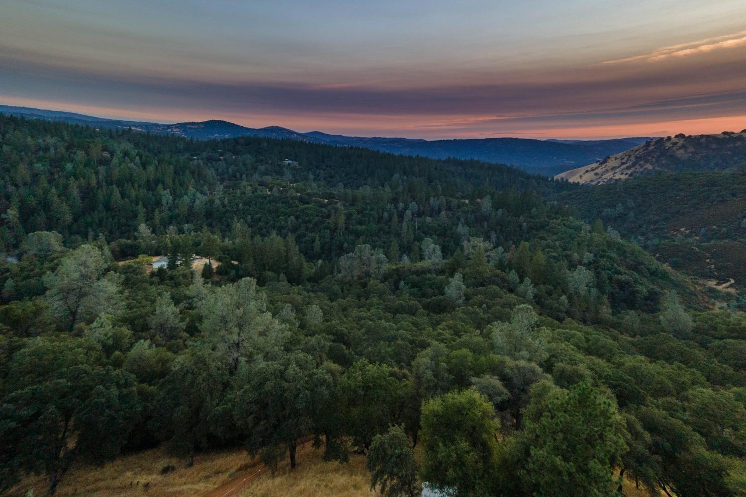 6520 Garden Park Drive