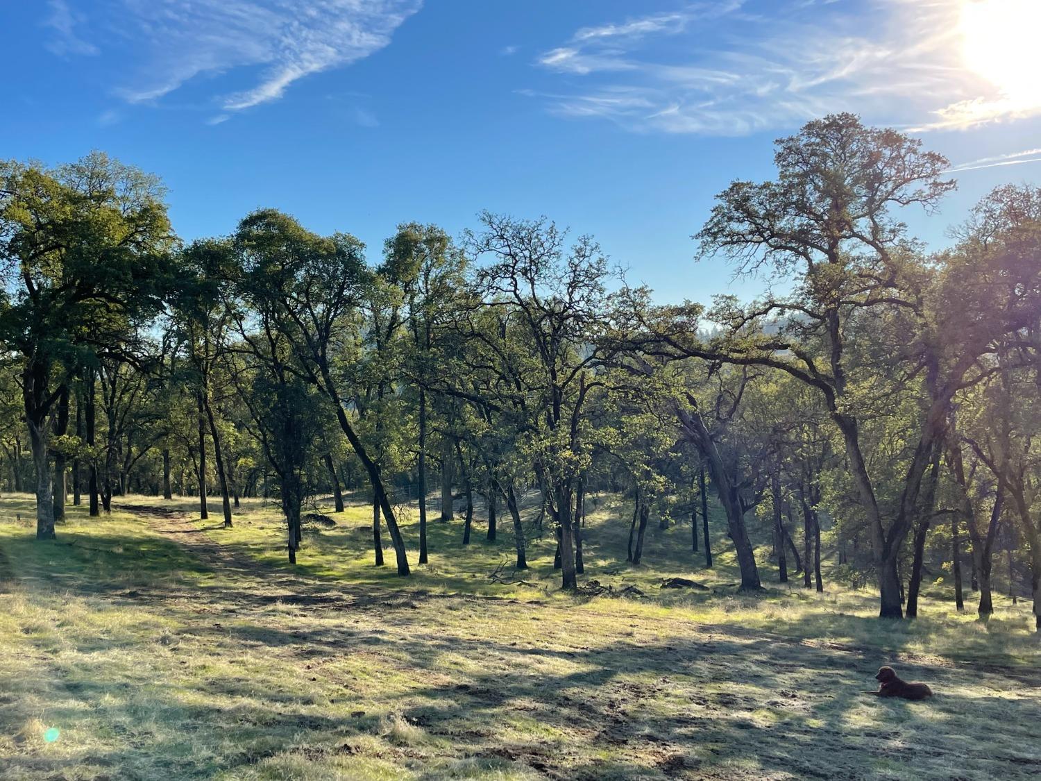 6520 Garden Park Drive