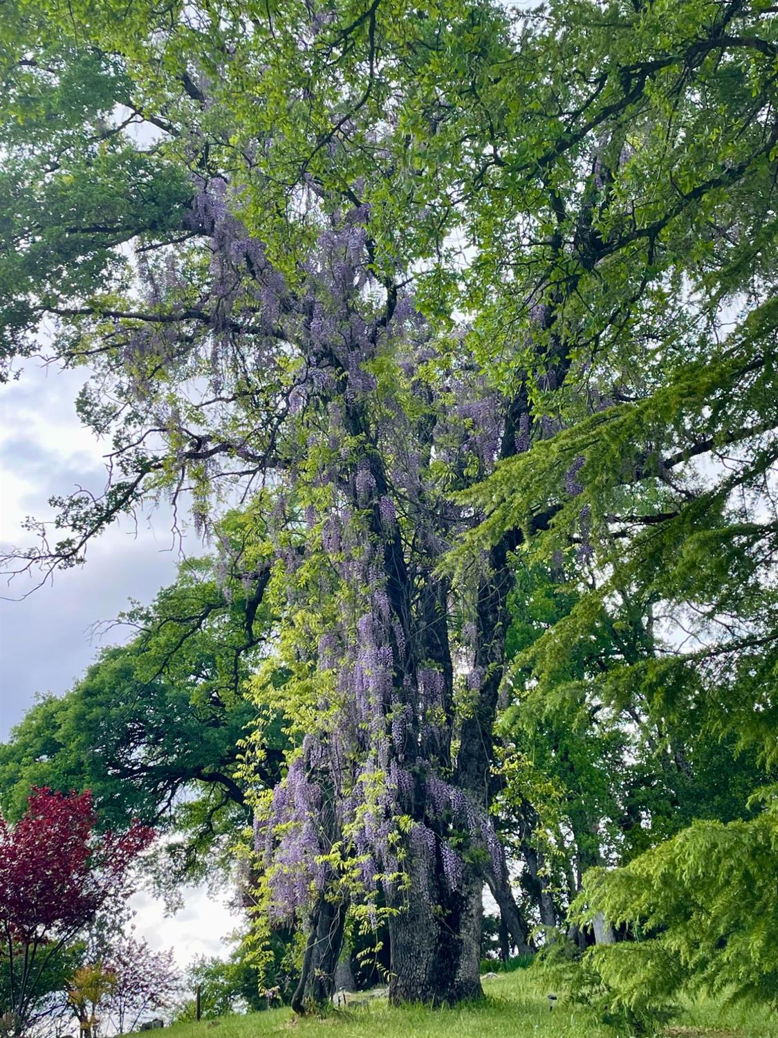 6520 Garden Park Drive