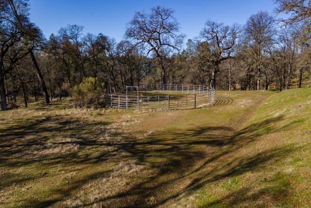 6520 Garden Park Drive