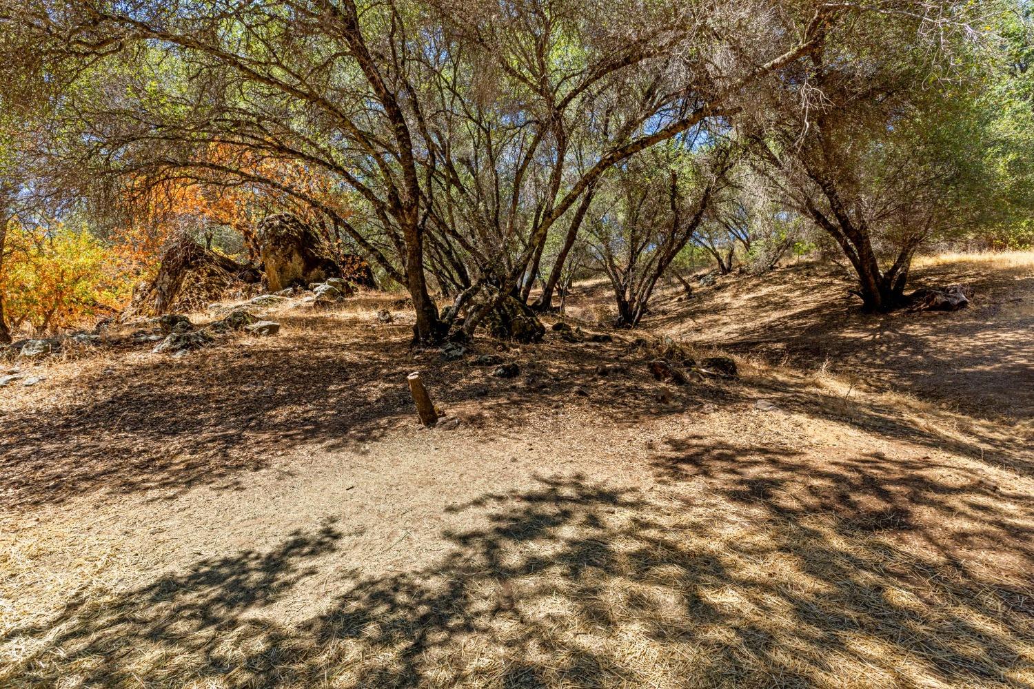 1720 Pleasant Ranch Court