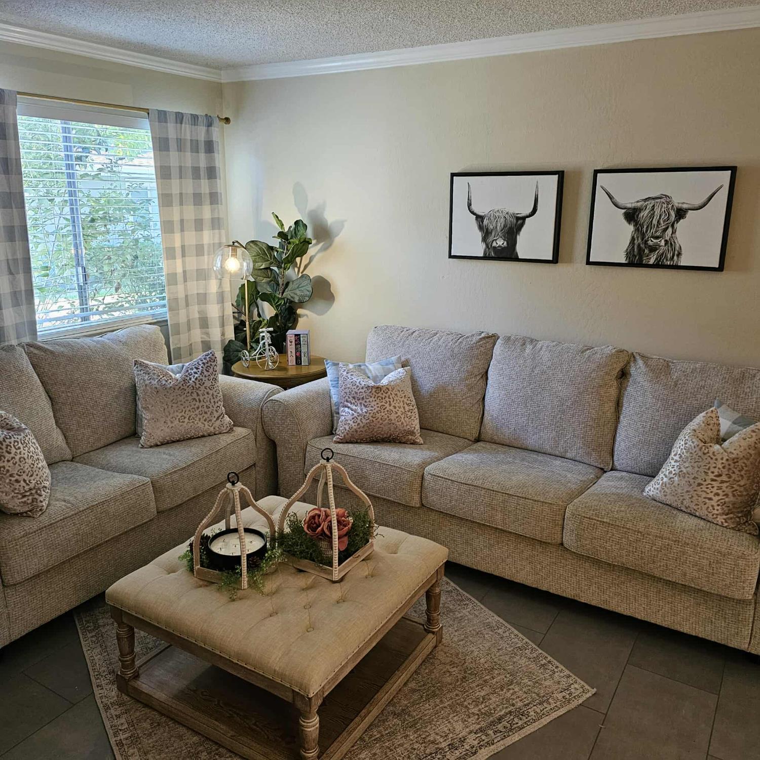 5822 Shadow Creek Drive 3