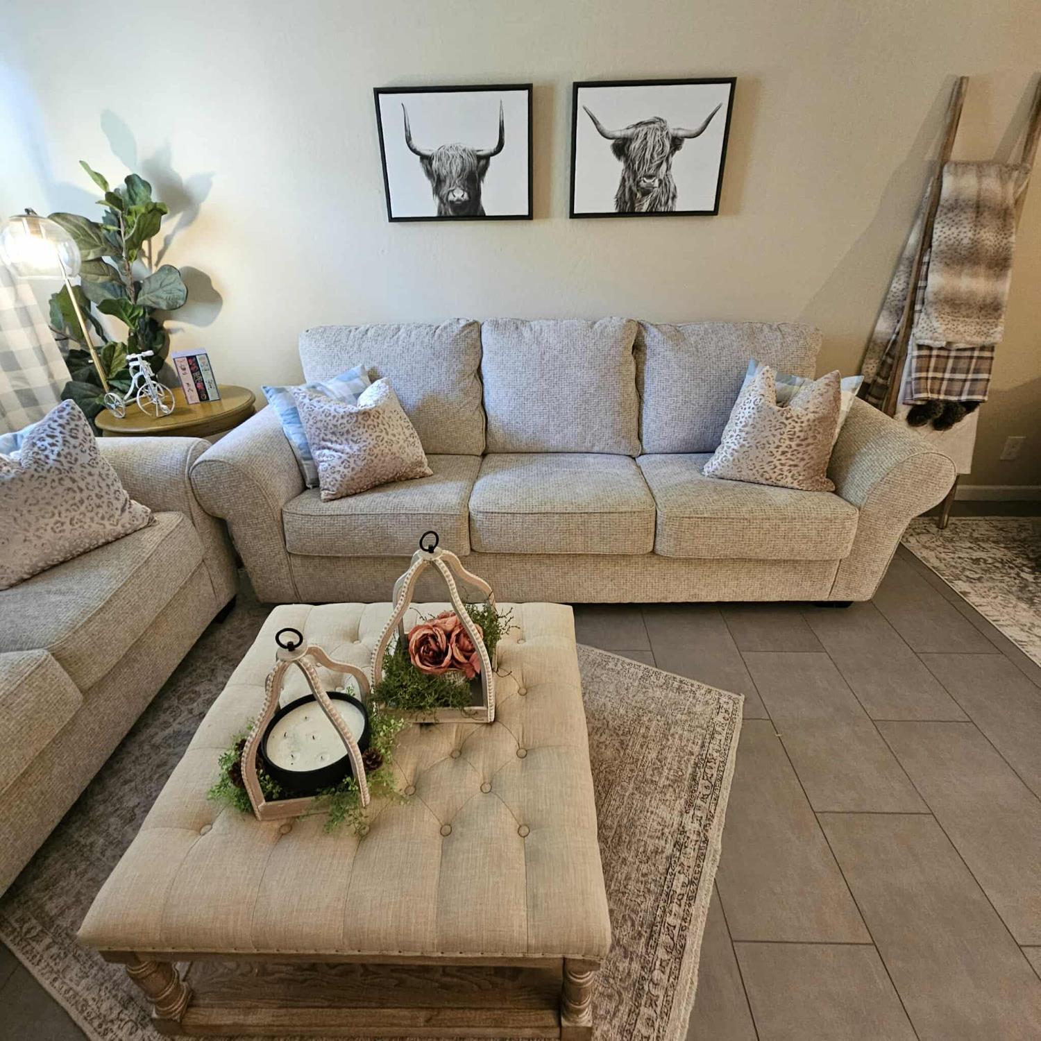 5822 Shadow Creek Drive 3