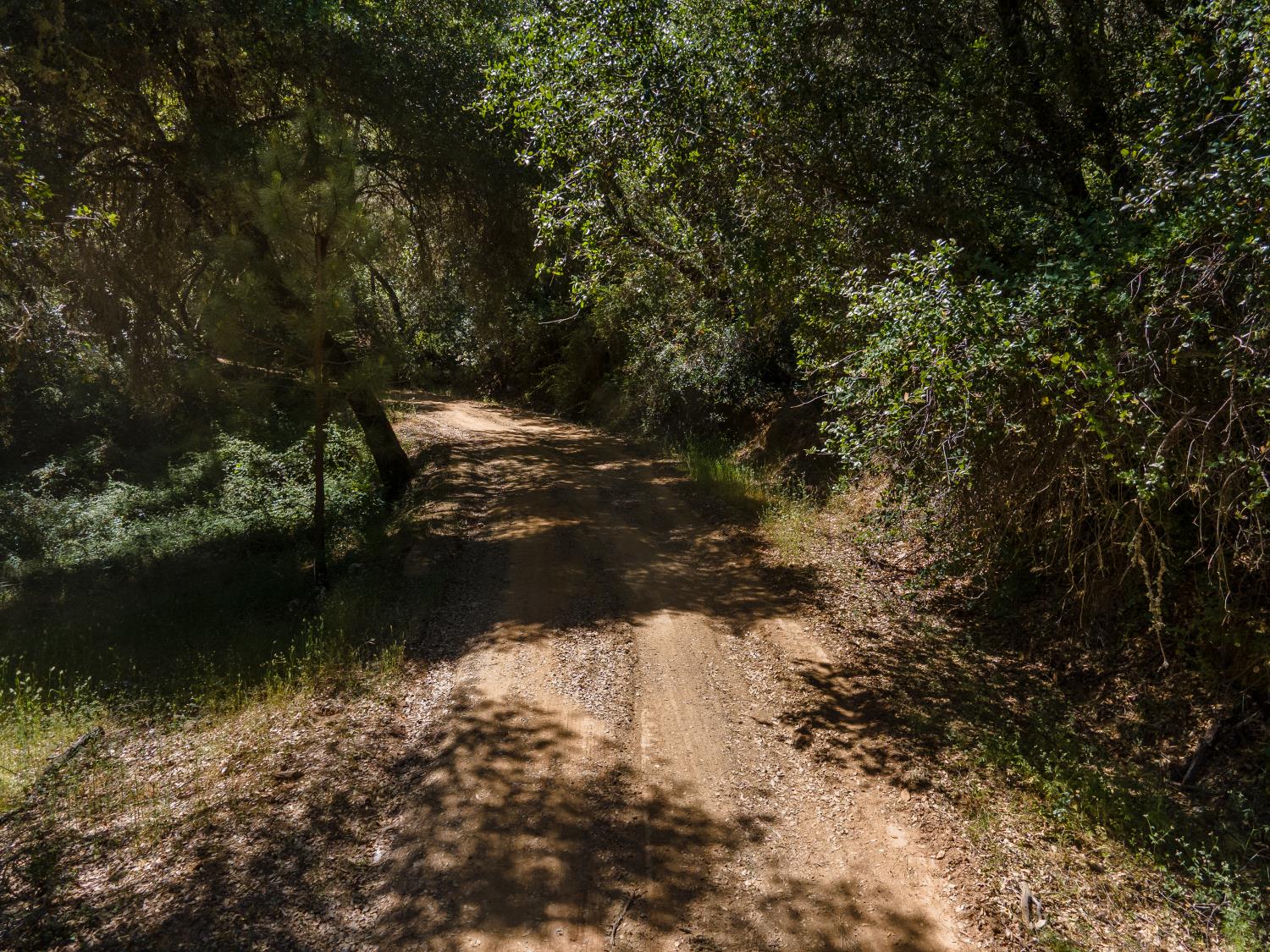 5000 Riverfront Trail