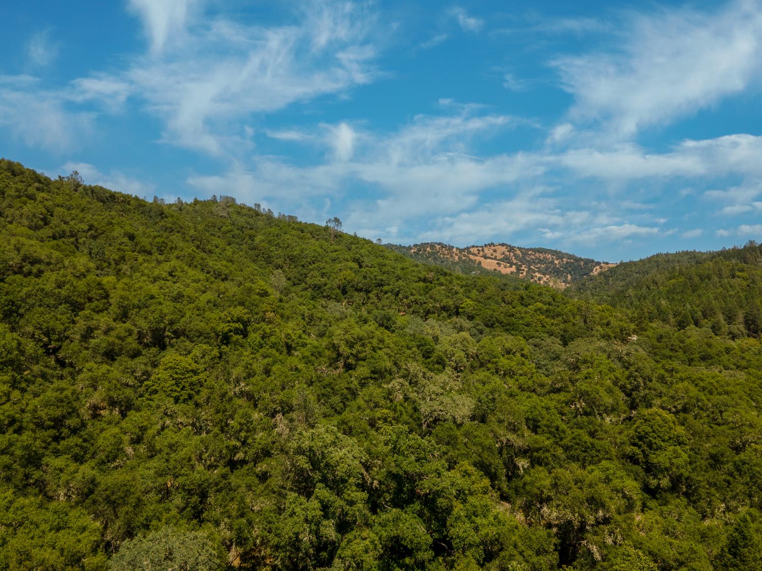 5000 Riverfront Trail