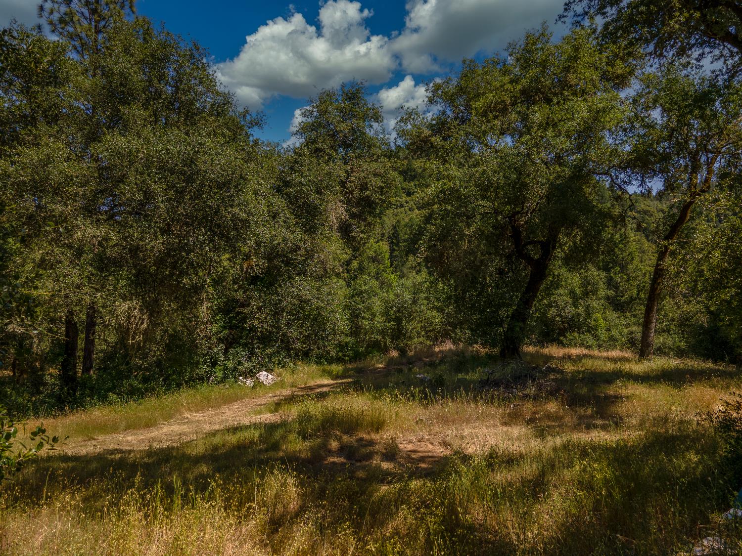 5000 Riverfront Trail